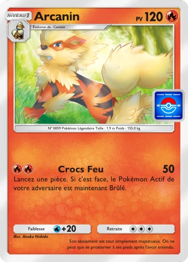 Carte Pokémon Arcanin de l'extension Promo-B