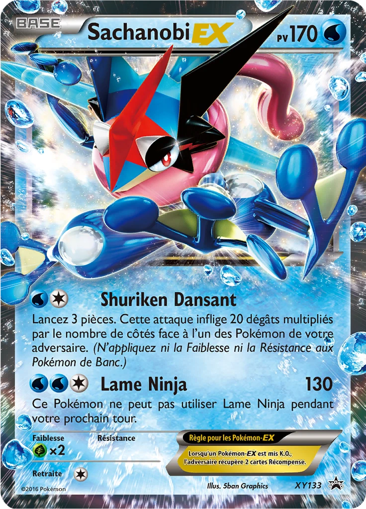 Carte Pokémon Sachanobi EX de l'extension Promo XY