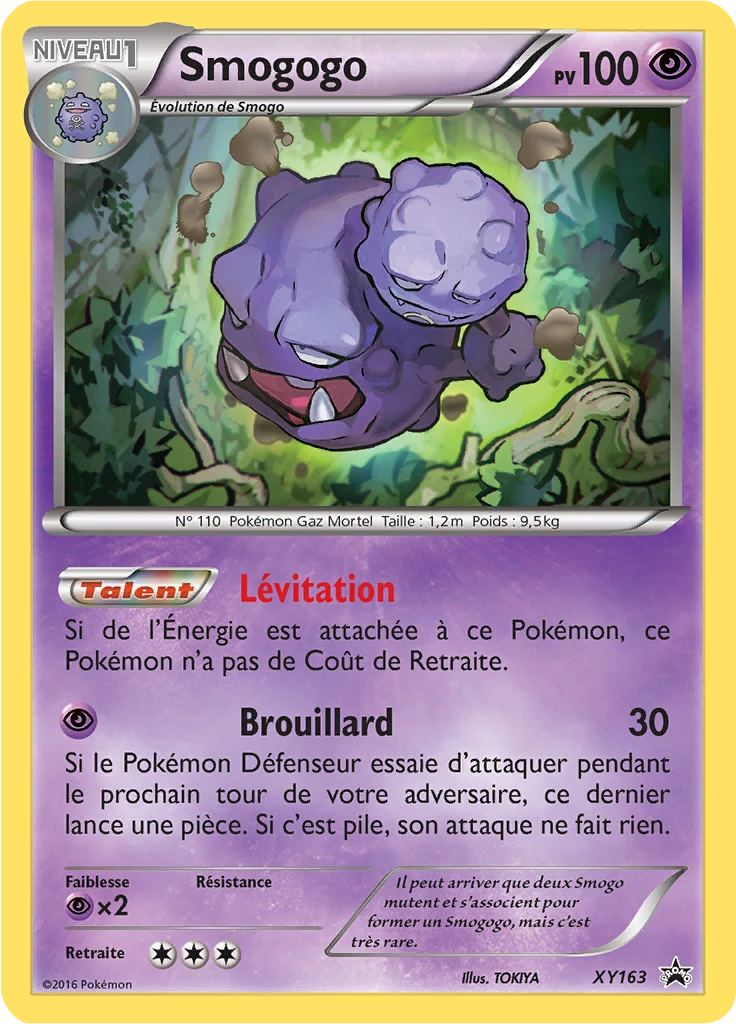 Carte Pokémon Smogogo de l'extension Promo XY