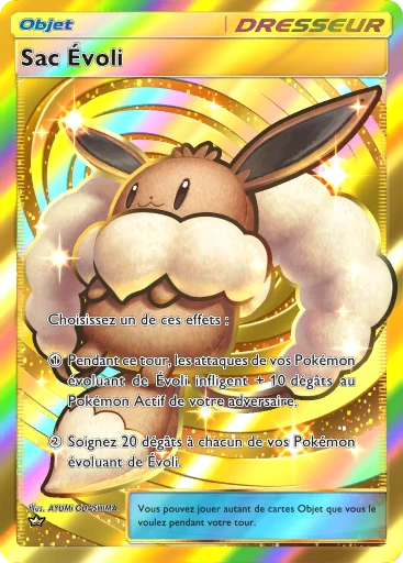 Carte Pokémon Sac Évoli de l'extension La Clairière d'Évoli