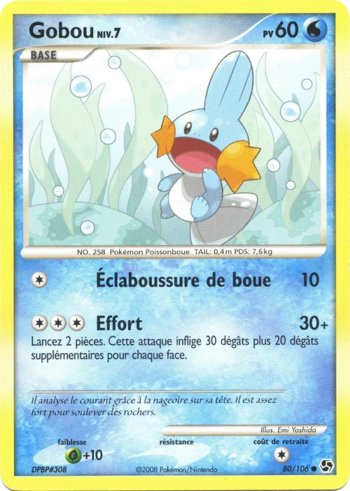 Carte Pokémon Gobou de l'extension Duels au Sommets