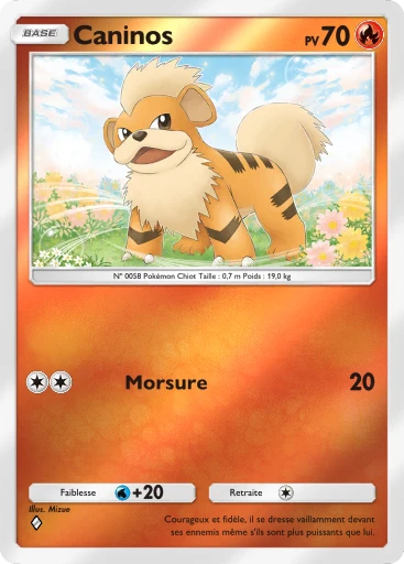 Carte Pokémon Caninos de l'extension Booster de Luxe ex