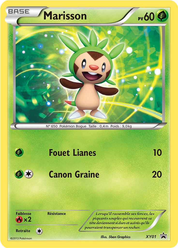 Carte Pokémon Marisson de l'extension Promo XY