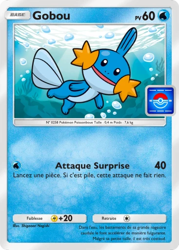 Carte Pokémon Gobou de l'extension Promo-B