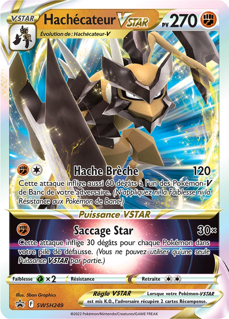 Carte Pokémon Hachécateur VSTAR de l'extension Promo SWSH