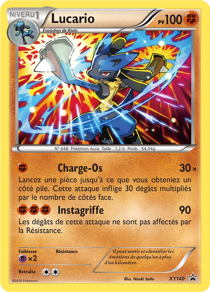 Carte Pokémon Lucario de l'extension Promo XY