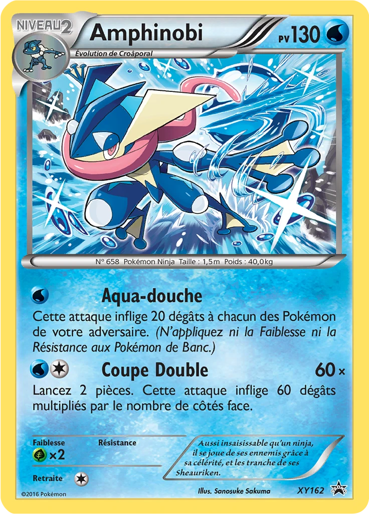 Carte Pokémon Amphinobi de l'extension Promo XY