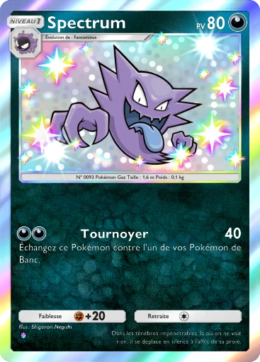 Carte Pokémon Spectrum de l'extension Méga-Rayonnement