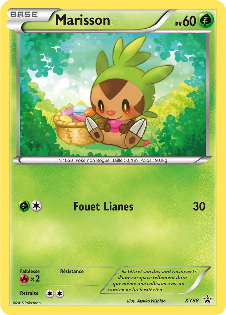 Carte Pokémon Marisson de l'extension Promo XY