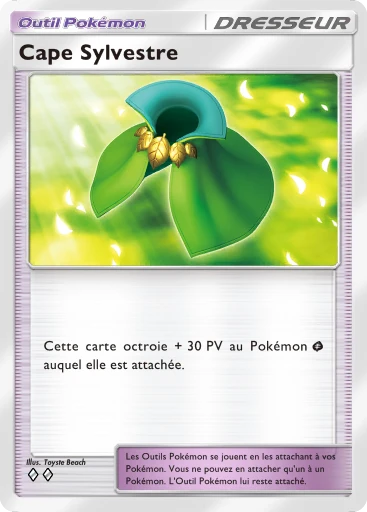 Carte Pokémon Cape Sylvestre de l'extension Gardiens Astraux