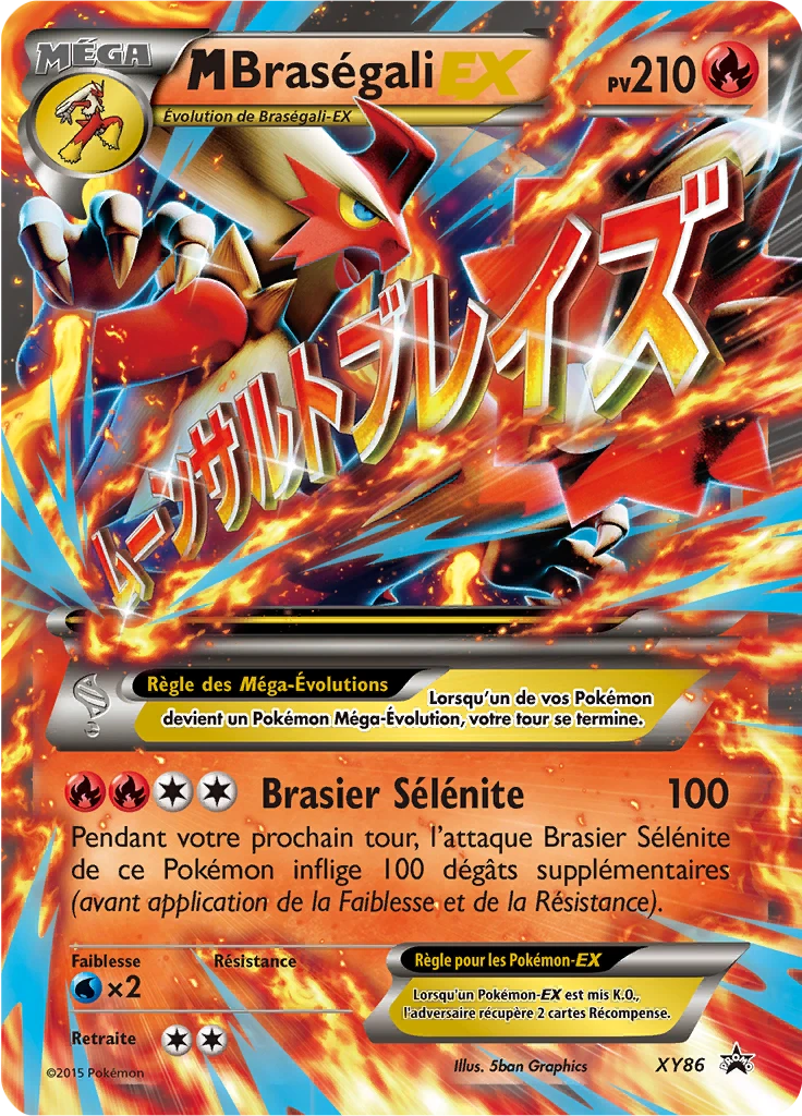 Carte Pokémon M Braségali EX de l'extension Promo XY