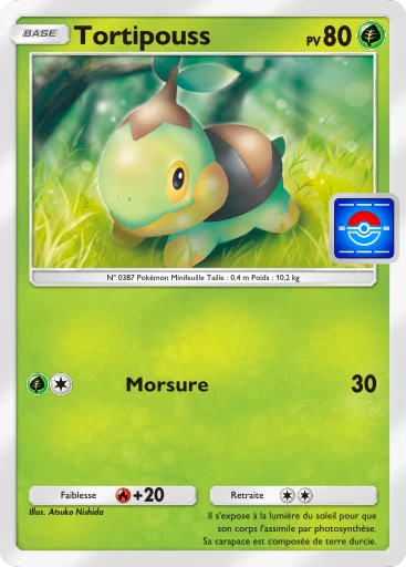 Carte Pokémon Tortipouss de l'extension Promo-A