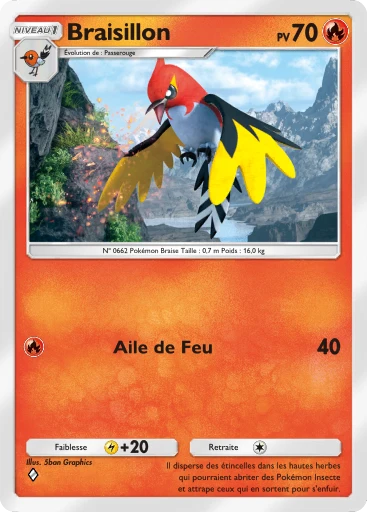 Carte Pokémon Braisillon de l'extension Source Secrète